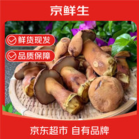 京鲜生 见手青牛肝菌 2斤 云南特产新鲜菌菇