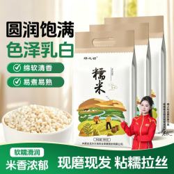 绿之坊 圆糯米新米 白江米包粽子黏米农家杂粮糕点糯米粉原料健康粗粮 白糯米980g*3袋
