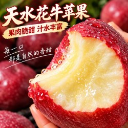 荔尊 甘肃天水花牛苹果3斤