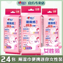 心相印 厕用湿巾女性用私处清洁净24包迷你便携小包装成人用湿厕纸