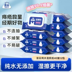 洁云 湿厕纸 40片*10包