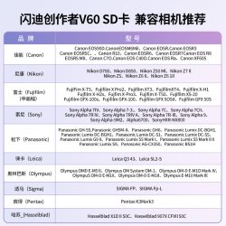 闪迪 创作者 SD内存卡V60 U3 C10高速相机卡读速280MB/s