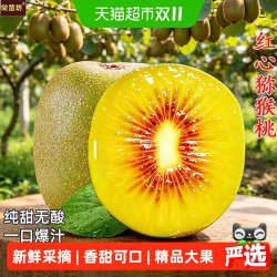 尙楚坊 红心猕猴桃