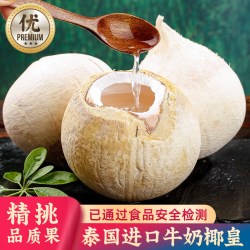 10颗泰国白椰皇新鲜椰子孕妇补羊水新鲜椰青水果香水椰子蛋椰汁