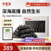 元宝岛 大连干海参 100g（16-20只）