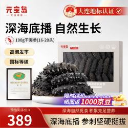 元宝岛 大连干海参 100g（16-20只）