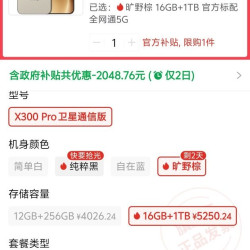 vivo X300 Pro 16+1T
