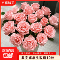 京喜 火灵鸟单头玫瑰鲜花洛神红玫瑰室内家居软装阳台水养鲜切花 戴安娜单头玫瑰