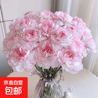 京喜 康乃馨鲜切花室内办公室客厅插花送老师母亲长辈朋友礼物混搭花束 随机单色不挑色10枝