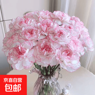 京喜 康乃馨鲜切花室内办公室客厅插花送老师母亲长辈朋友礼物混搭花束 随机单色不挑色10枝