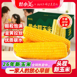 灶小美 黄糯玉米棒 250g*8根  源头直发包邮