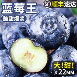 鲜午月 现摘特大果 蓝莓鲜果