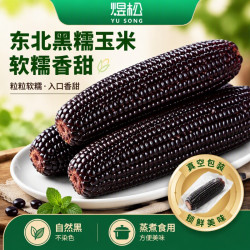 新鲜东北黑玉米真空包装富含花青素香甜软糯粗粮健康糯玉米粘玉米