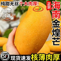 小黄鲜果 海南特大金煌芒果新鲜10斤水果应当季整箱大青芒超级甜大芒果批发