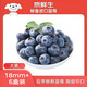 京鲜生 秘鲁蓝莓大果18mm+ 6盒装 125g/盒 新鲜水果 源头直发