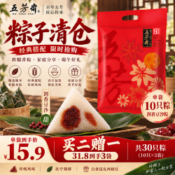 五芳斋 中华 嘉兴特产粽子袋装 端午节团购量贩装肉粽早餐棕礼袋 1400克真空五芳风味粽袋装(