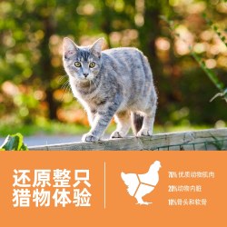 Orijen 渴望 无谷鸡肉配方 全期猫粮 5.4kg(效期27年9月)