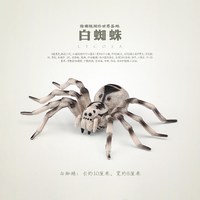 童德 昆虫动物玩具模型 白蜘蛛