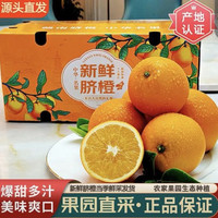 集年鲜 元珍鲜诚源头直发鲜采赣南脐橙当季新鲜橙子生鲜水果年货节日送礼 含箱10斤净重9斤优选果150-230g