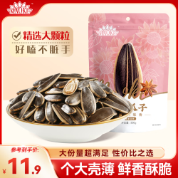 毛嗑 五香瓜子 500g 袋装