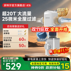 滨特尔 前置过滤器20T大通量家用25微米叠片 L250抗菌叠片-25μm