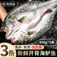 百库 三去开背深海鲈鱼 新鲜鲈鱼生鲜鲜活速冻海鲜水产鱼类年货节礼盒 三去海鲈鱼450g*3条