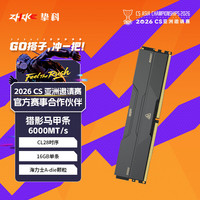 ZHIKE 16GB单条 DDR5 6000 C28 台式机内存条 猎影马甲条 海力士A-die颗粒 AMD专用内存