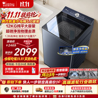 小天鹅 小乌梅5.0系列 TB12K60 变频波轮洗衣机 12kg