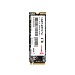 长城 SSD固态硬盘M.2接口(NVMe协议)PCIe3.0x4 P300系列台式笔记本通用硬盘畅玩游戏 P300-1TB