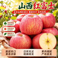 本味时光 山西丑苹果  高山红富士  脆甜糖心苹果现摘应季时令生鲜水果 净重4.5-5斤 单果75mm+ 12枚以内