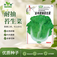华煜 全年耐抽苔生菜种子5克