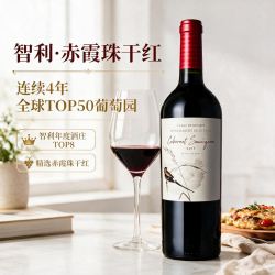 菲特瓦 智利中央山谷原瓶进口红酒干红葡萄酒精选赤霞珠红酒送礼宴请