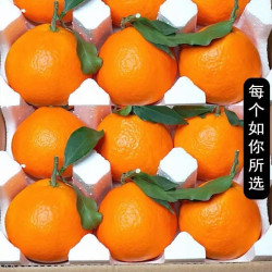 巨无霸 四川眉山 特大果 爱媛38号果冻橙 4.5斤装 单果80-90mm