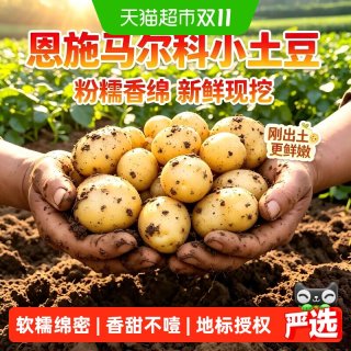 好鲜市集 正宗湖北恩施小土豆迷你马铃薯洋芋应季蔬菜整箱