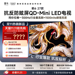 雷鸟 电视55鹤6 27款 抗反防眩屏QD-Mini LED万象分区电视