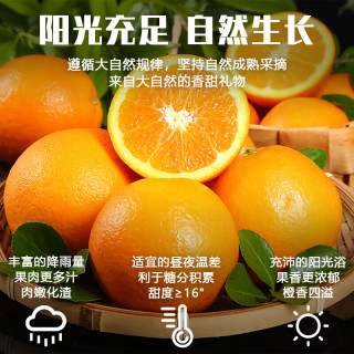果小恩 正宗纽荷尔脐橙  高山水果  手剥甜橙  新鲜应季  现摘现发  中果单果 75-80mm  含箱9斤 净重8.5斤