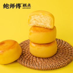 鲍师傅 生椰丝绒馅椰蓉饼500g