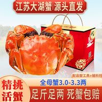 百亿补贴：仲秋 大闸蟹鲜活现货螃蟹全母3.0-3.3两海鲜水产足斤足两