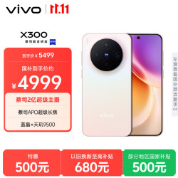 vivo X300 5G手机 16GB+512GB 幸运彩