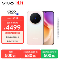 vivo X300 5G 手机 幸运彩 12GB 512GB