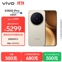 vivo X300 Pro 卫星通信版 5G手机 12GB+512GB 旷野棕