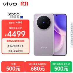 vivo X300 5G手机 12GB+512GB 惬意紫