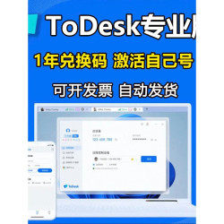 thinkmind ToDesk专业版会员1年兑换码激活码 远程控制软件正版 专业版会员1年「发兑换码」