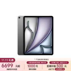 苹果 M4芯片 平板电脑（M4）