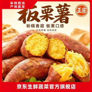 / 锦顺农红薯 山东新鲜板栗红薯生鲜地瓜粉糯香甜黄心板栗地瓜农场直发  （单果100g+） 净重4.5斤