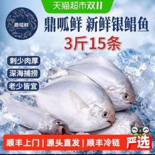 淘金币可用、88VIP：鼎呱鲜 银鲳鱼 500g*3袋