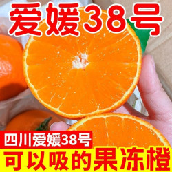 赵小墩 四川爱媛38号果冻橙正宗眉山产地直发新鲜橙子应当季孕妇水果整箱