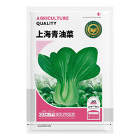 京农研 农科院大白菜种子青麻叶四季快菜绍菜黄心娃娃菜奶油白菜蔬菜籽孑 上海青油菜 5克