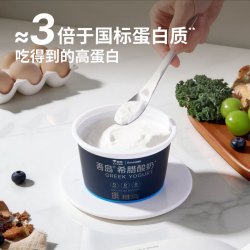 Oarmilk 吾岛 低GI零脂无蔗糖希腊酸奶 300g*2盒