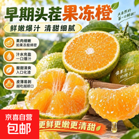 头茬正宗眉山爱媛果冻橙38号现摘现发酸甜可口应季水果礼盒 60mm+带箱9斤